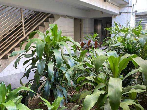 QUINTA CRESPO APARTAMENTO EN VENTA 