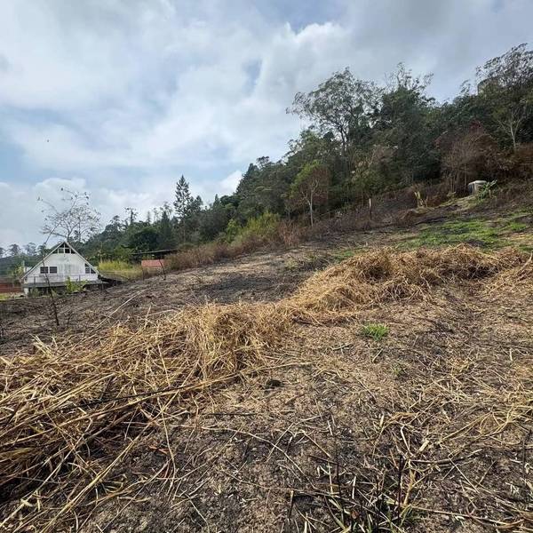 Terreno en la Mariposa 