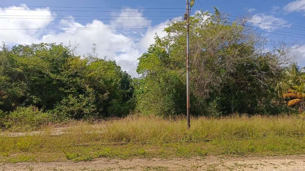 VENDO Parcela de Terreno 1.110 m2, Urb. Los Canales de Rio Chico. Páez Miranda.