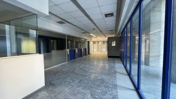 Local/Venta/Los Palos Grandes/564.47m2