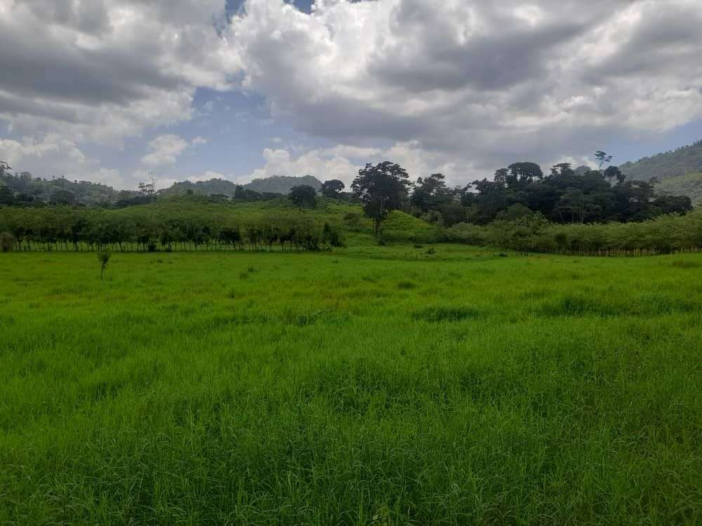 Vendo Finca Yaracal, Edo. Falcón