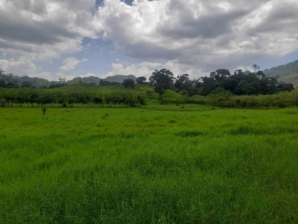 Vendo Finca Yaracal, Edo. Falcón